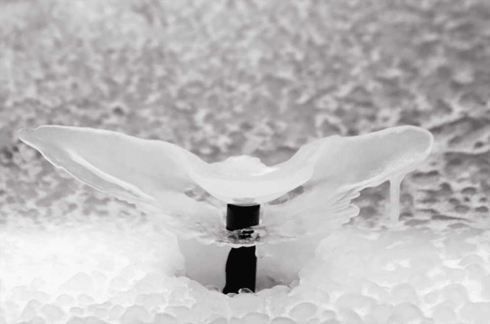 Frozen irrigation sprinkler head covered in ice